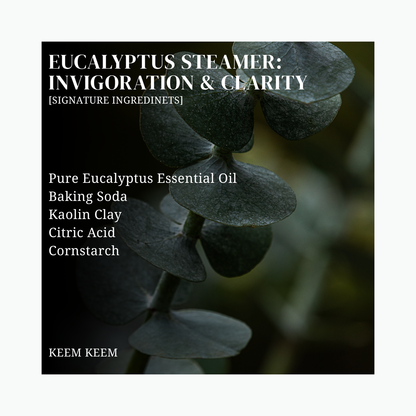 Eucalyptus Shower Steamers