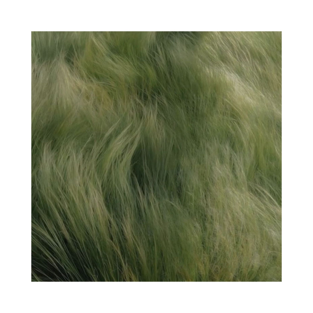 What is Sensory Fatigue? Understanding the Hidden Cause of Burnout