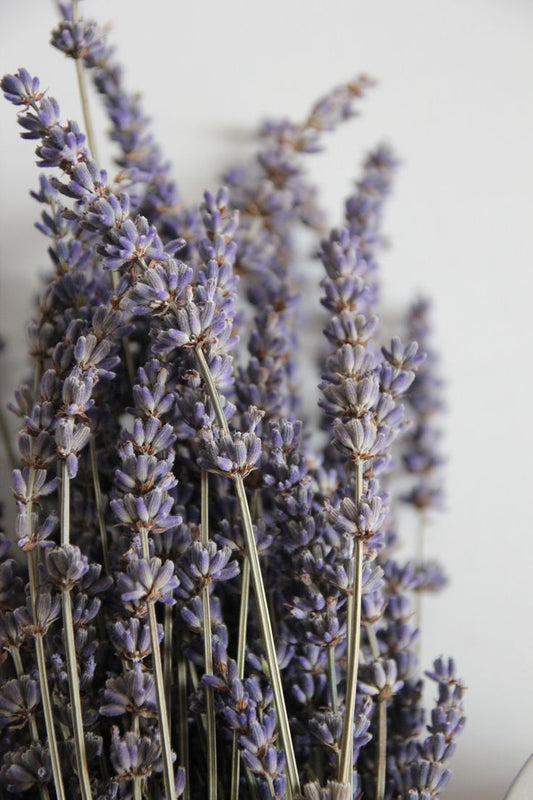 💜 The Aromatherapy Power of Lavender: Why It Works and How to Use It