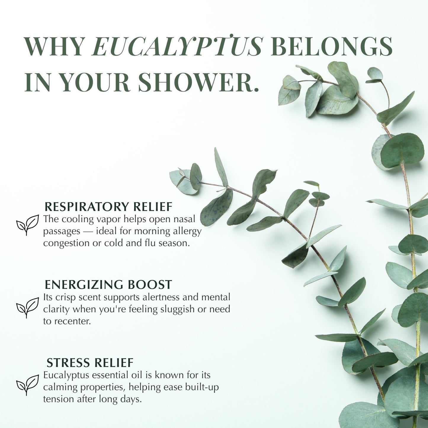 Eucalyptus Shower Steamers