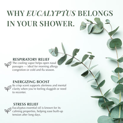 Eucalyptus Shower Steamers