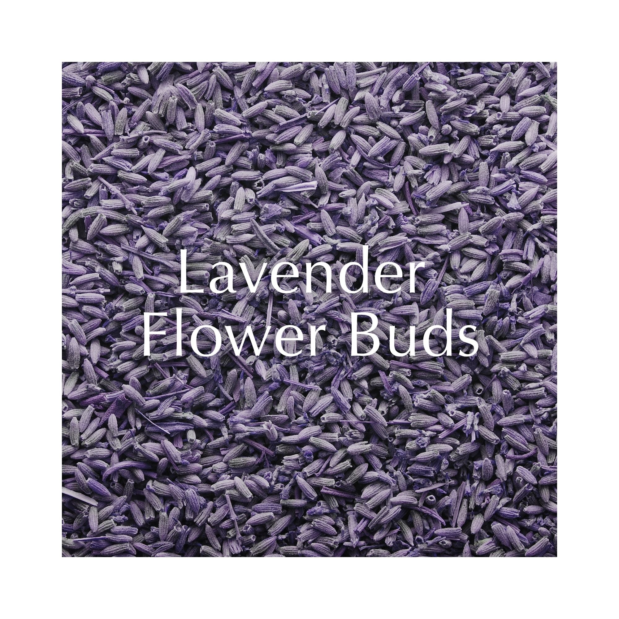 Close-up image of dried lavender flower buds used in Keem Keem Lavender Shower Steamers for calming aromatherapy benefits.